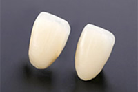 ハイブリッドクラウン