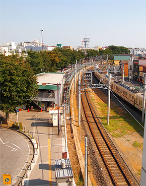 オペ室からの風景