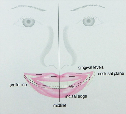 デザインのこだわり